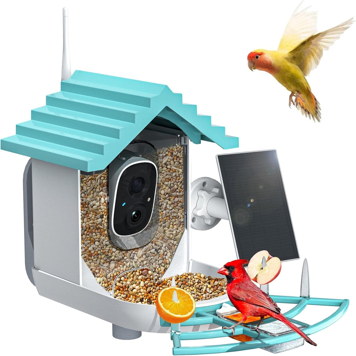 Bird Feeder Camera