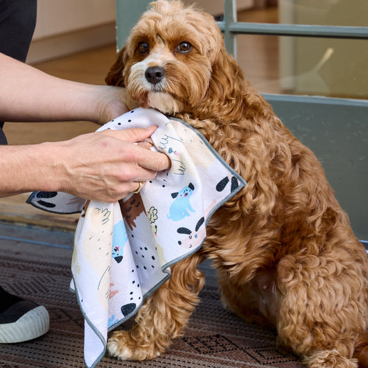 Microfiber Towels