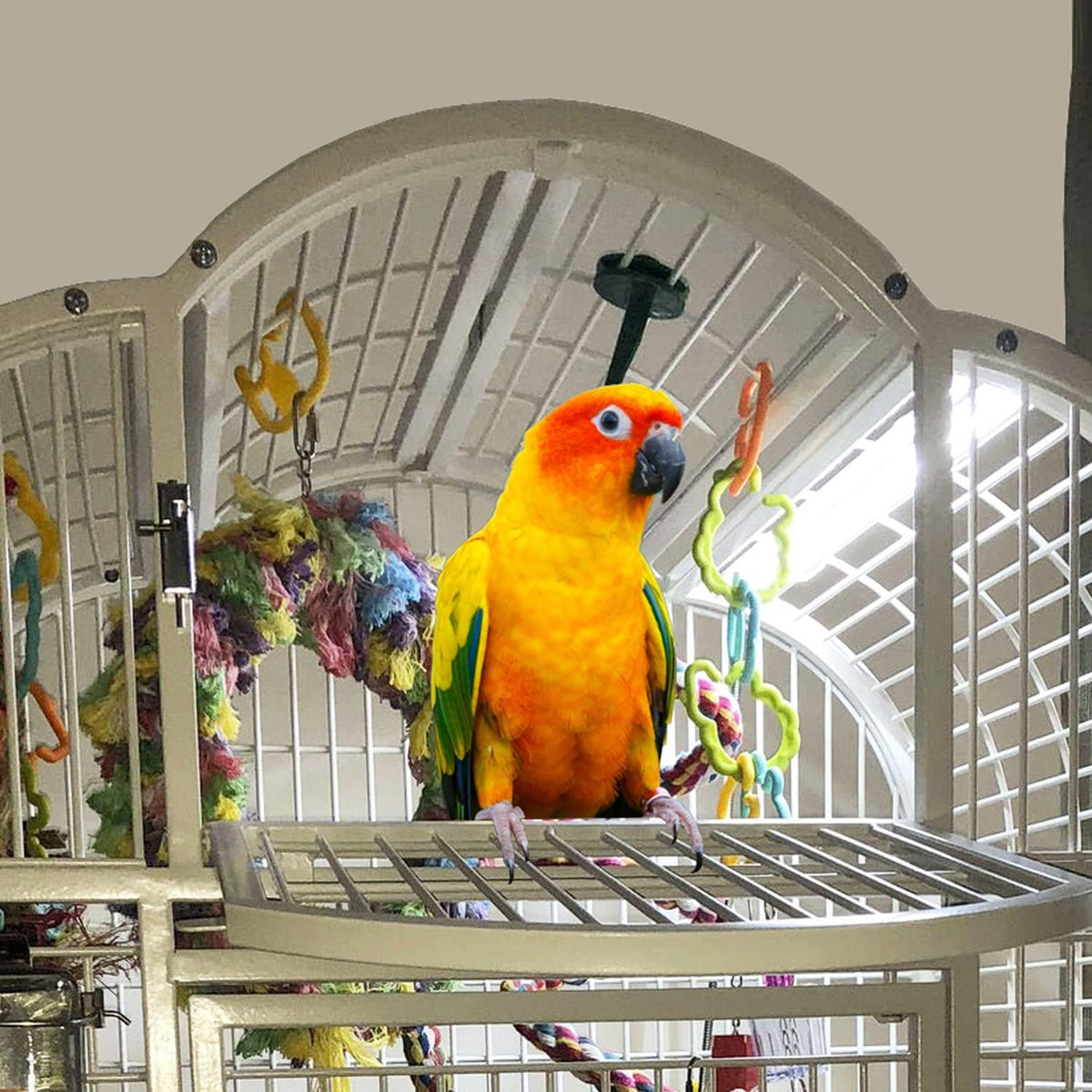 Bird Cage Light