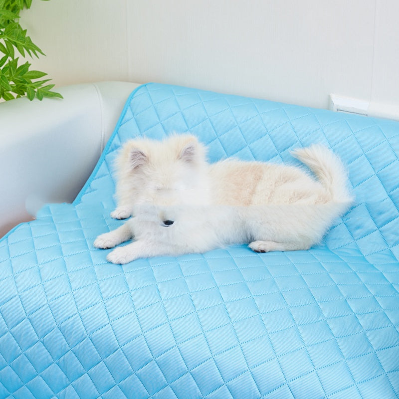 Summer Dog Mat