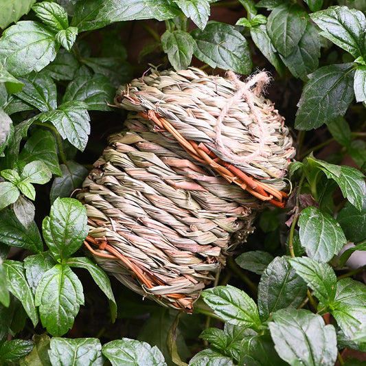 Straw Birds Nest