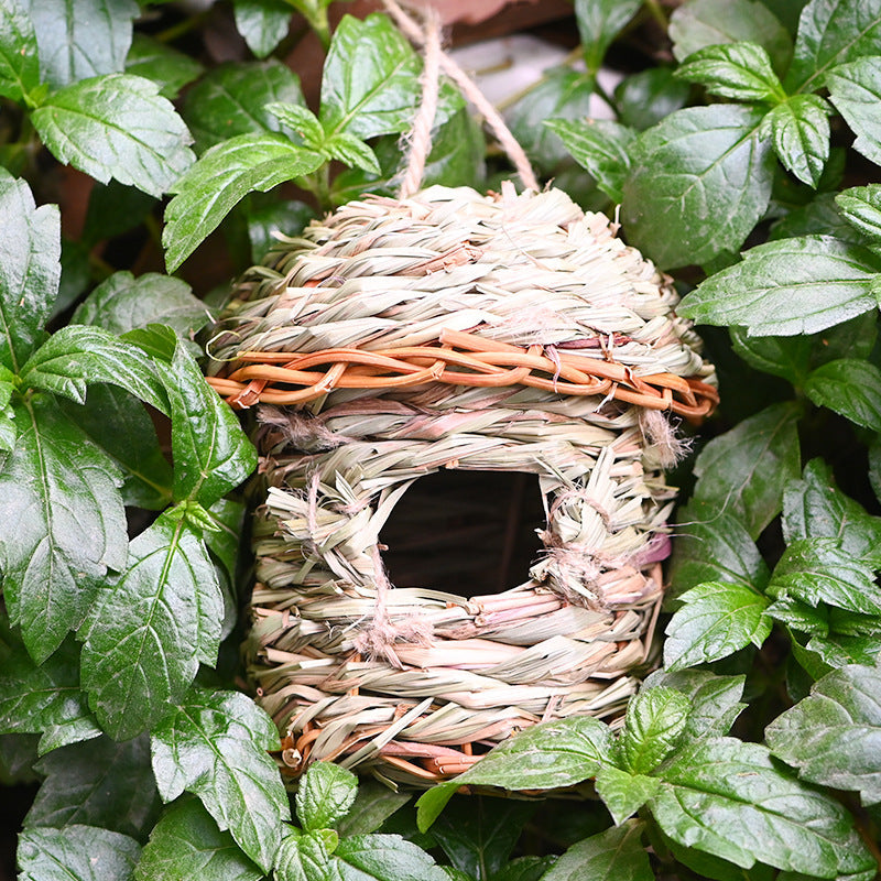 Straw Birds Nest