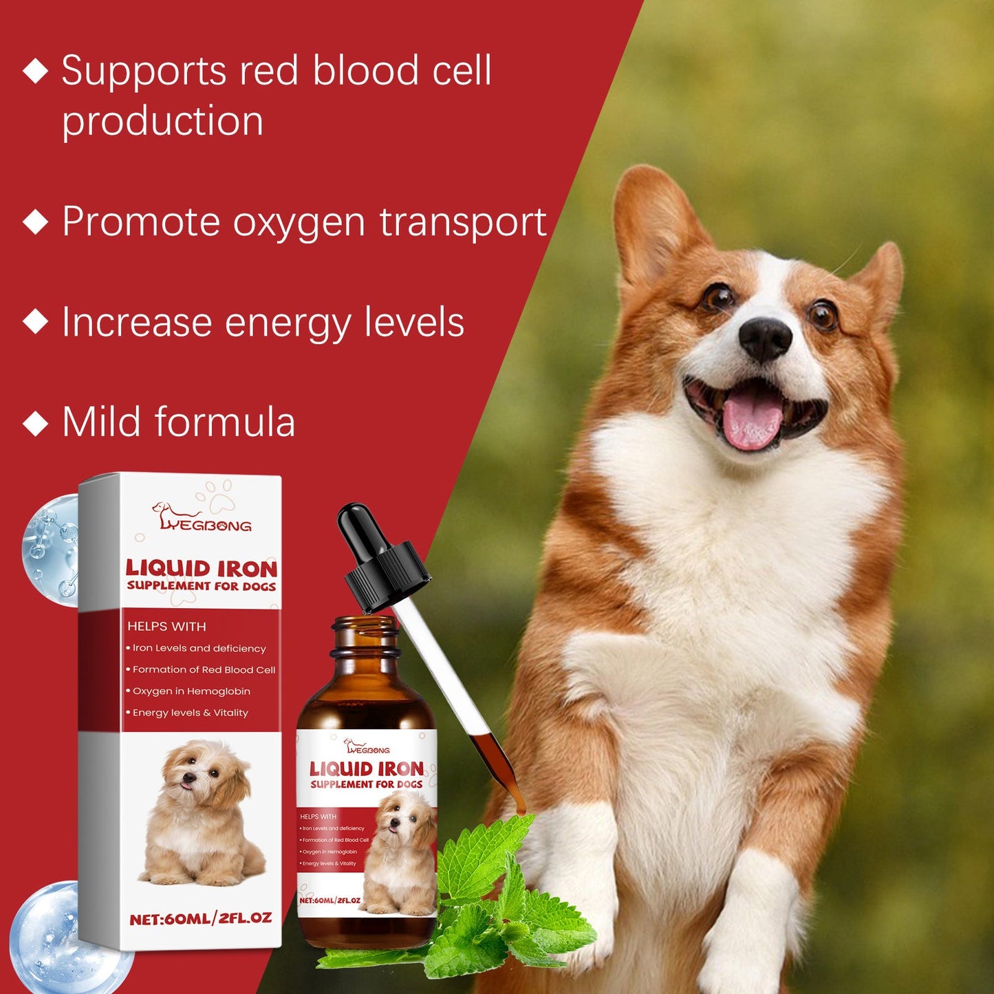 Care For Pet Dogs