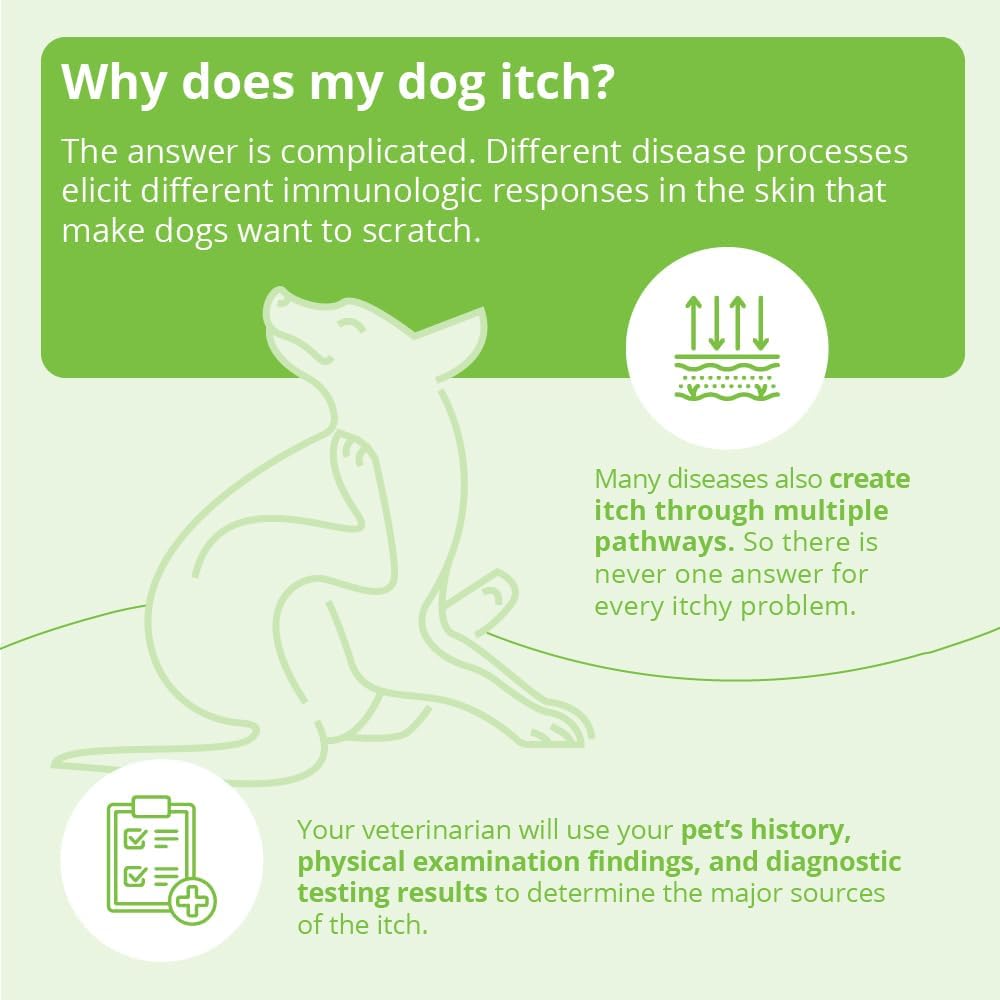 Shampoo for Dogs Cats