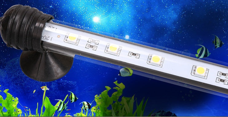 Floodlight Aquatic Lantern