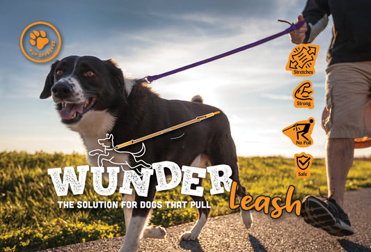 No-Pull Dog Leash