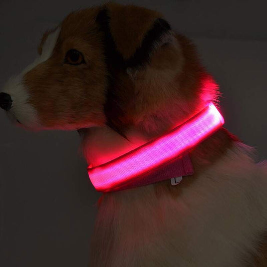 Glow in Dark Dog/Cat Leash