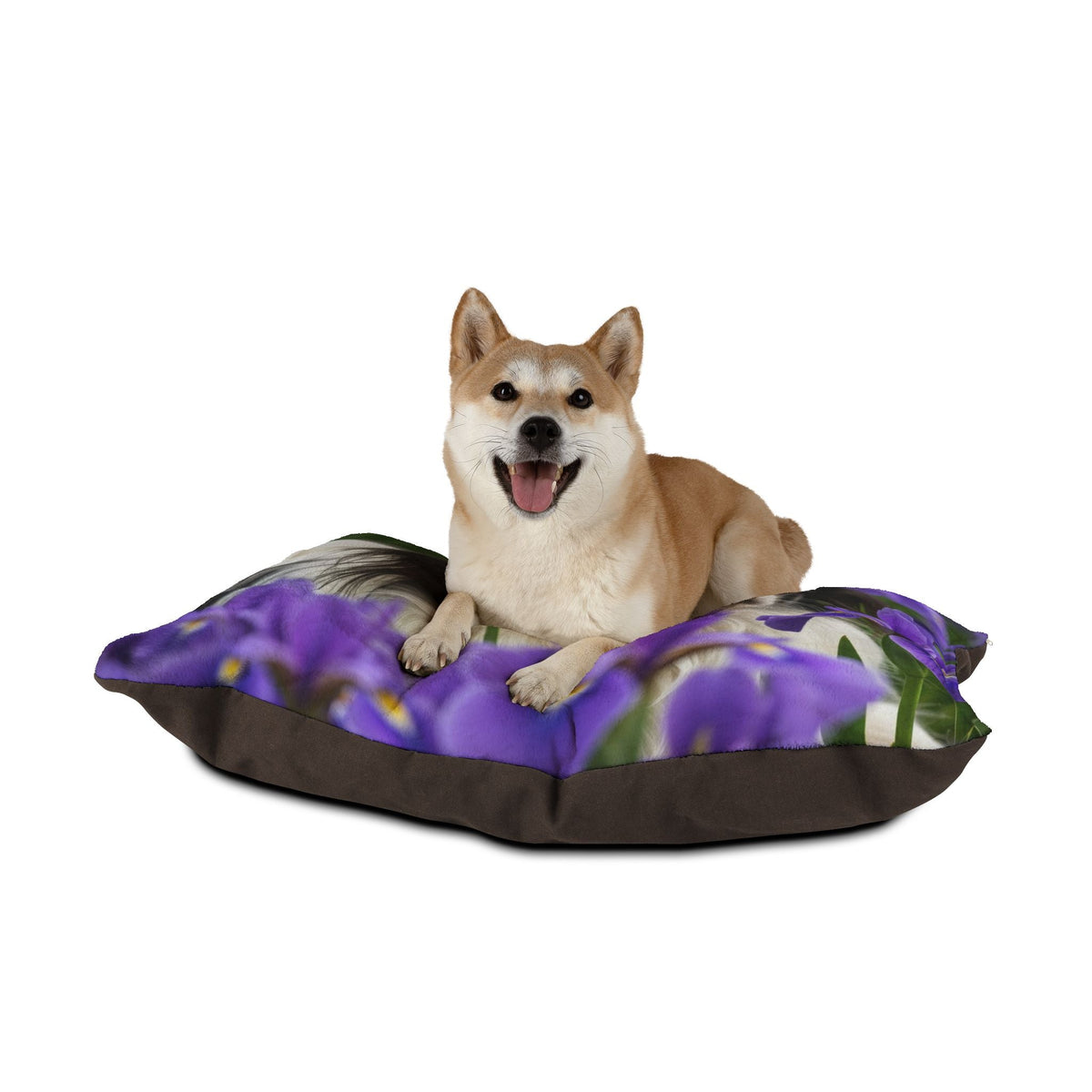 Plush Dog Bed