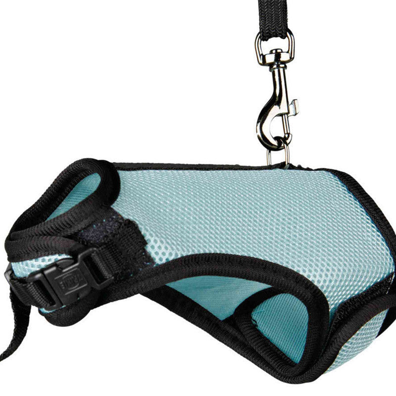 Bunny, Hamster Harness Leash