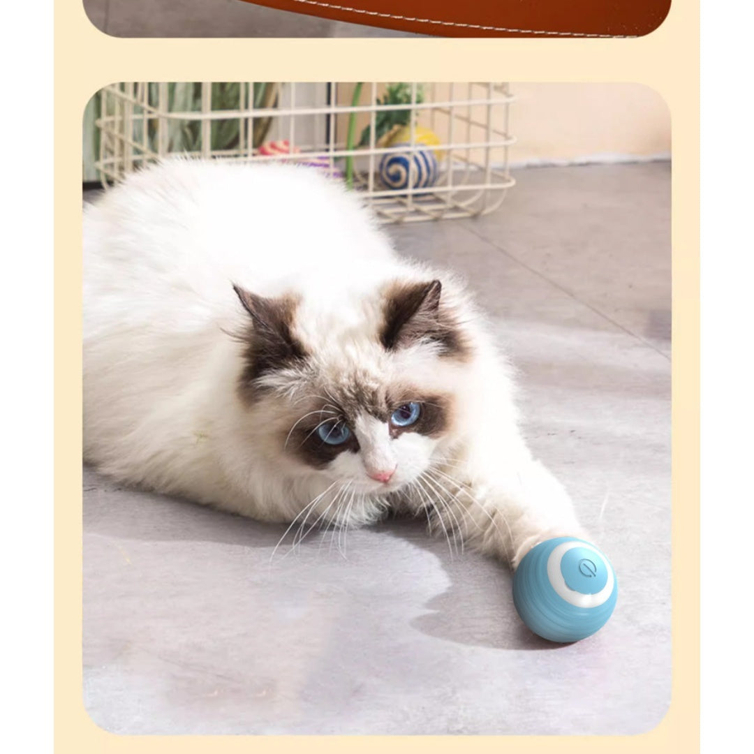 Cat Toy Ball