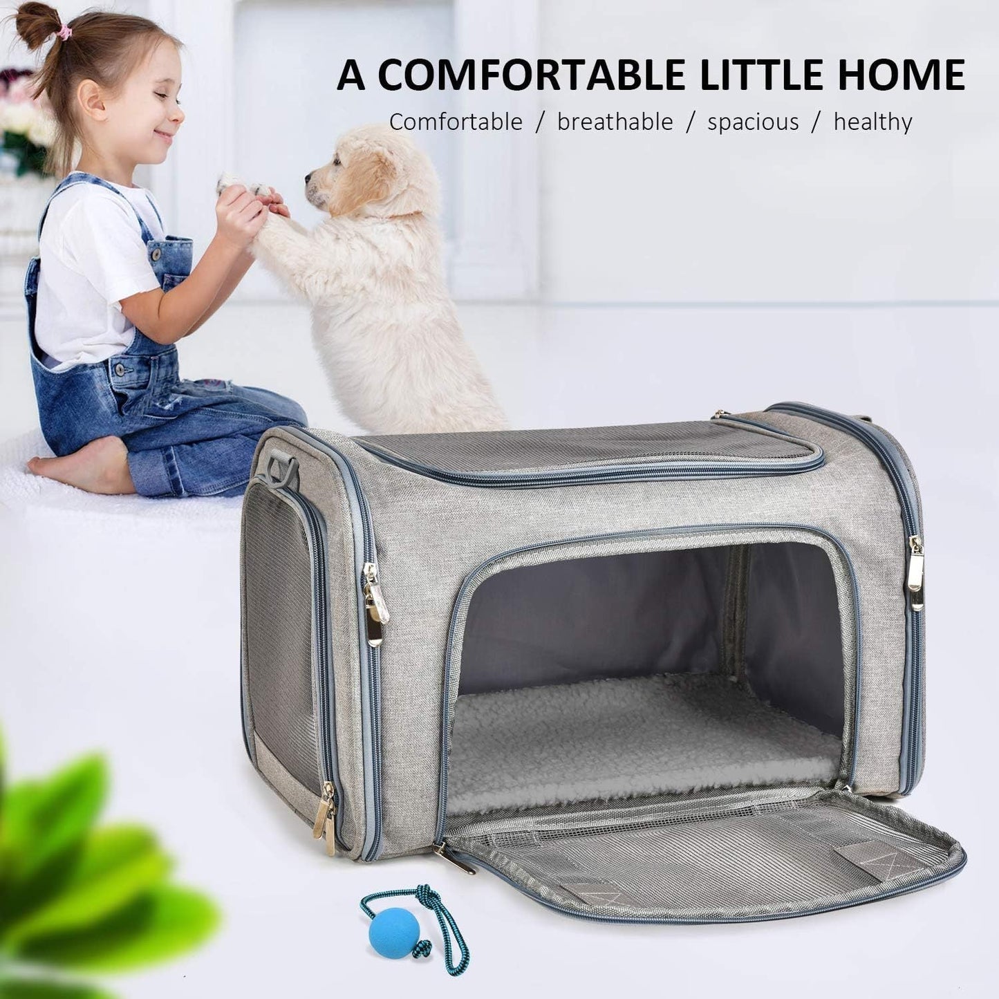 Pet Carrier