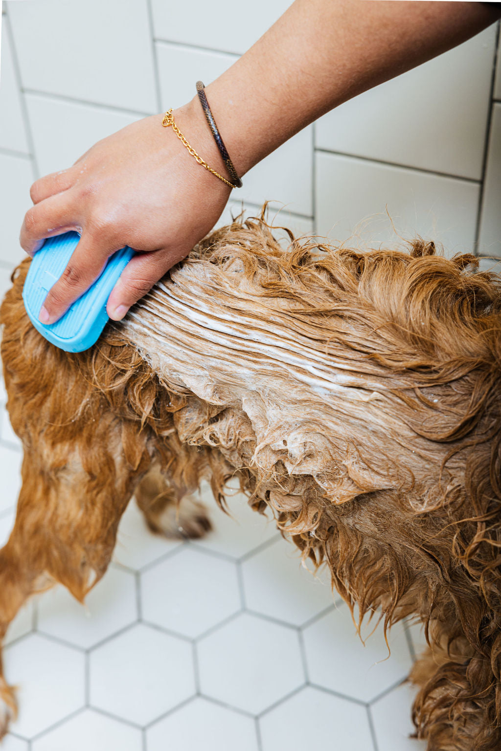 Dog Shampoo & Conditioner Duo