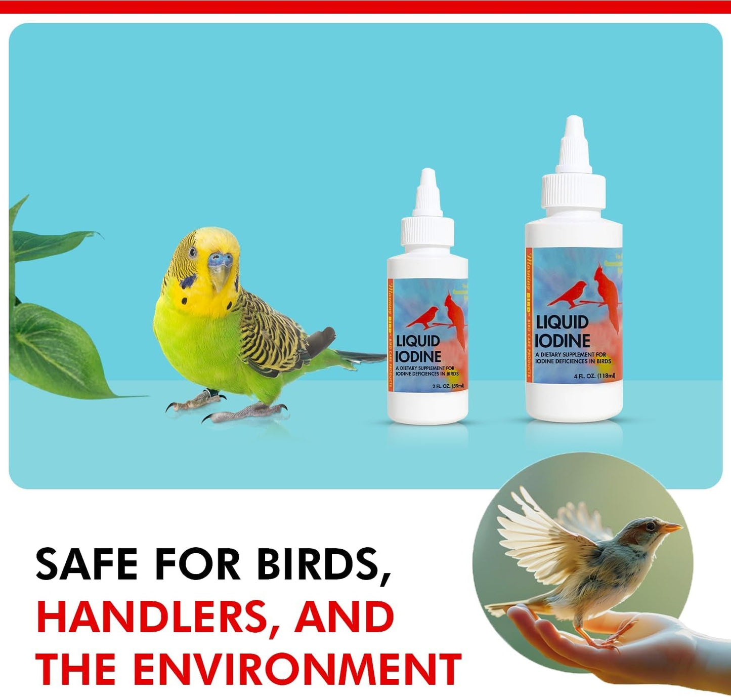 Liquid Iodine Supplement for Birds