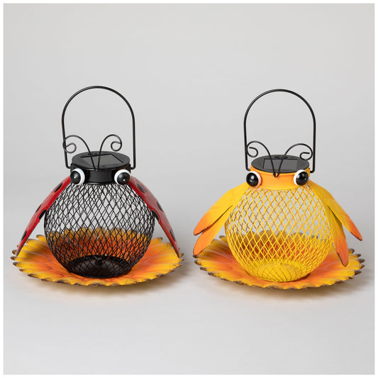 Hanging Bird Feeder