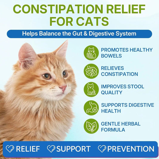 Cat Constipation Relief