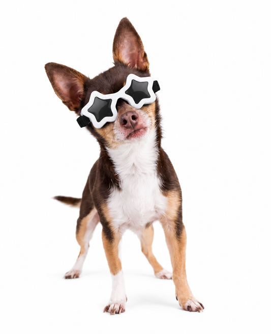 Star-Shaped Pet Sunglasses