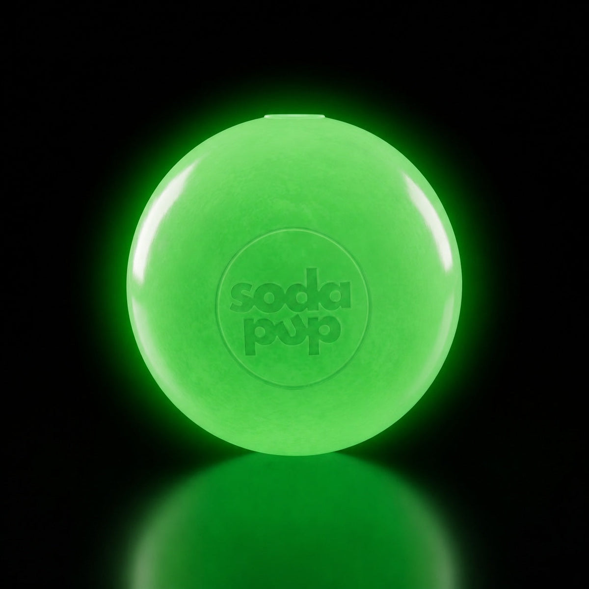 Squeaky Dog Toy