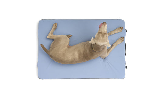 Travel Dog Bed