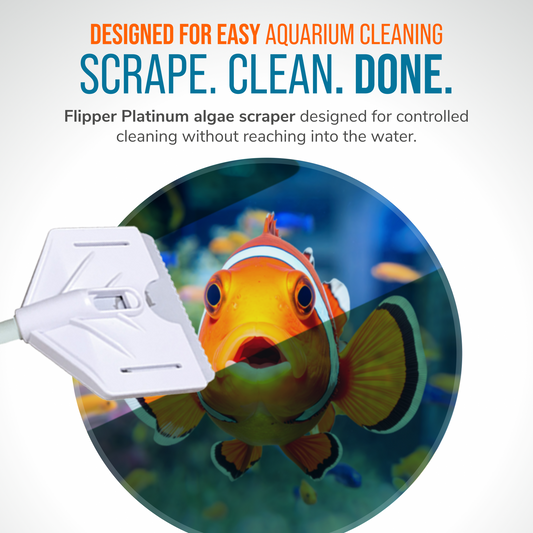 Aquarium Algae Scraper