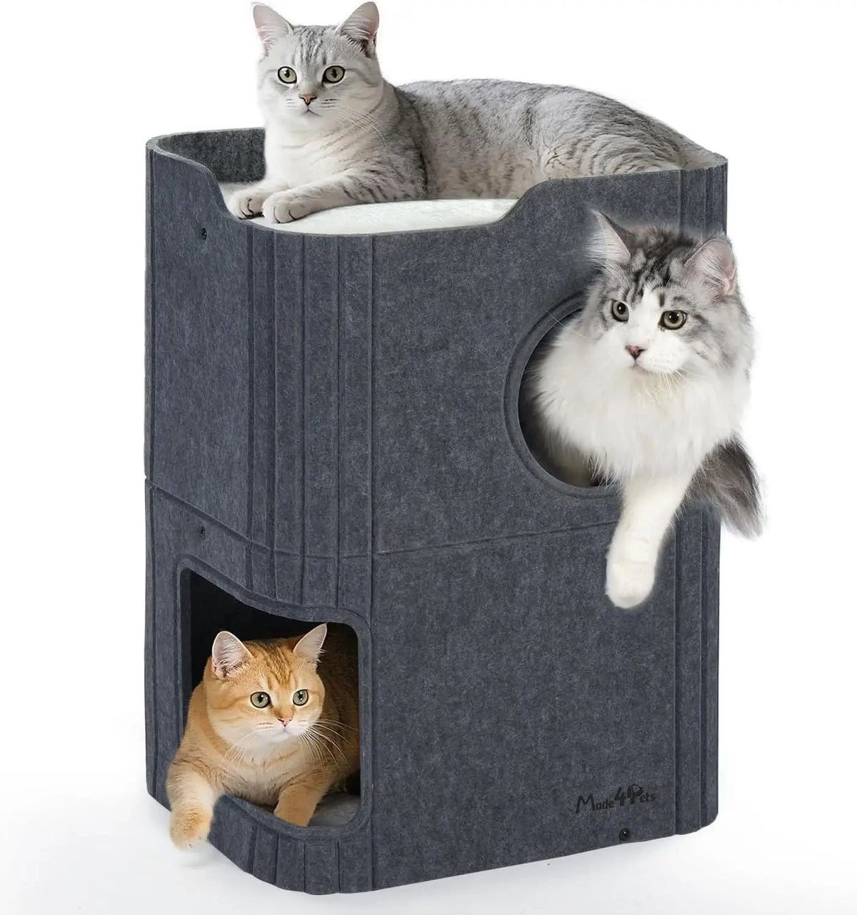 Indoor Cat House