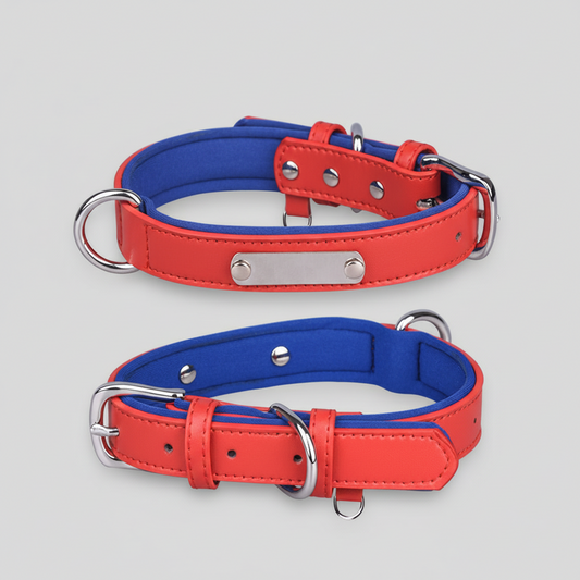 Leather Dog Collar