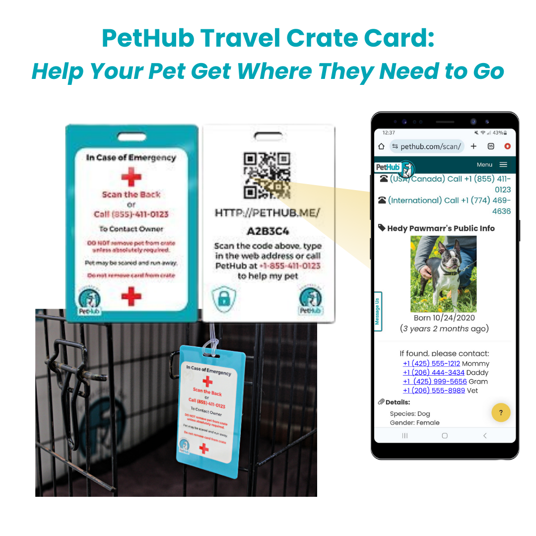 QR Pet Identification Card