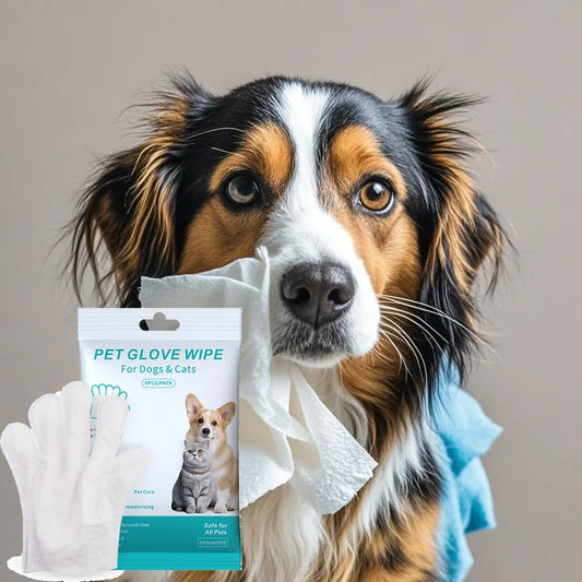 Pet Disposable Gloves