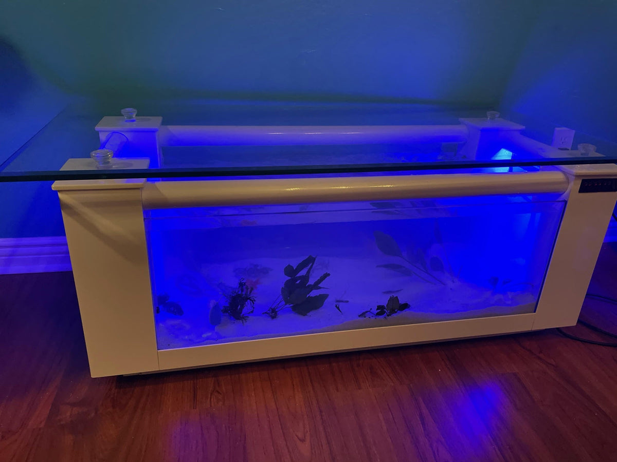 Aquarium Fish Tank