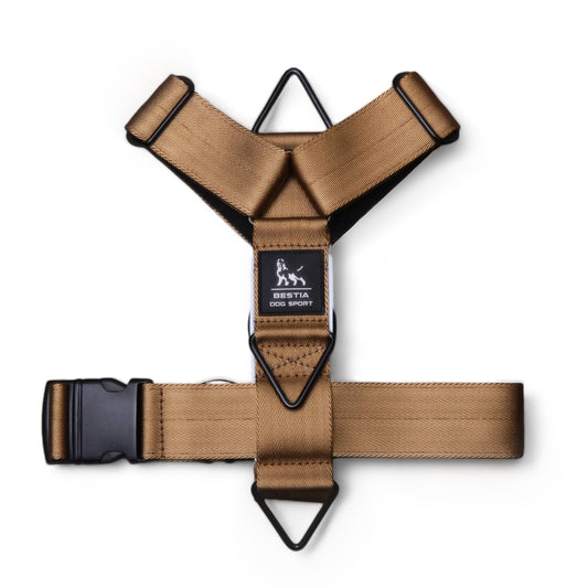 Basic Harness