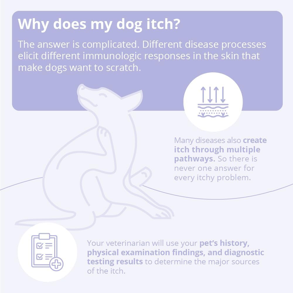 Shampoo for Dogs Cats
