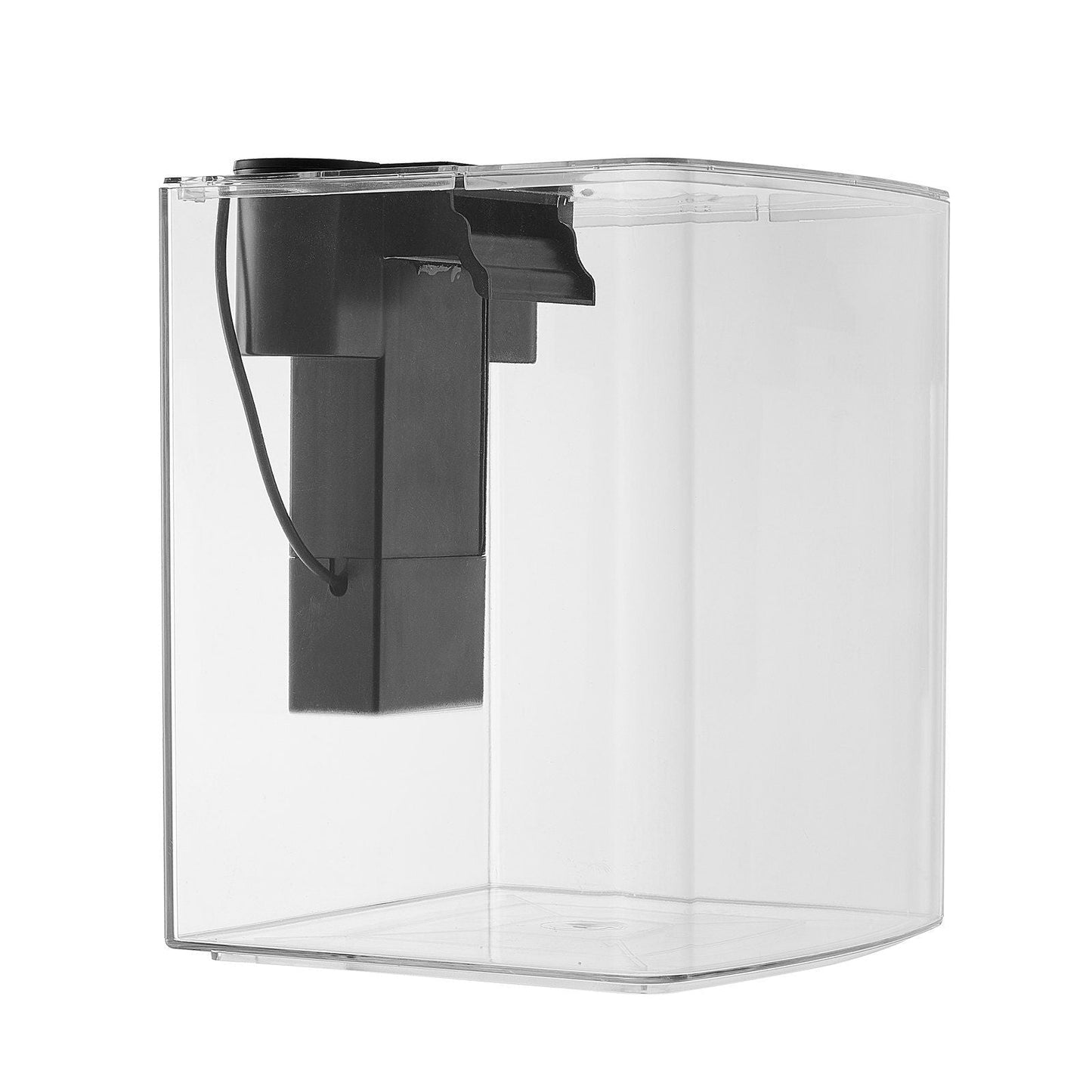 Fish Aquarium