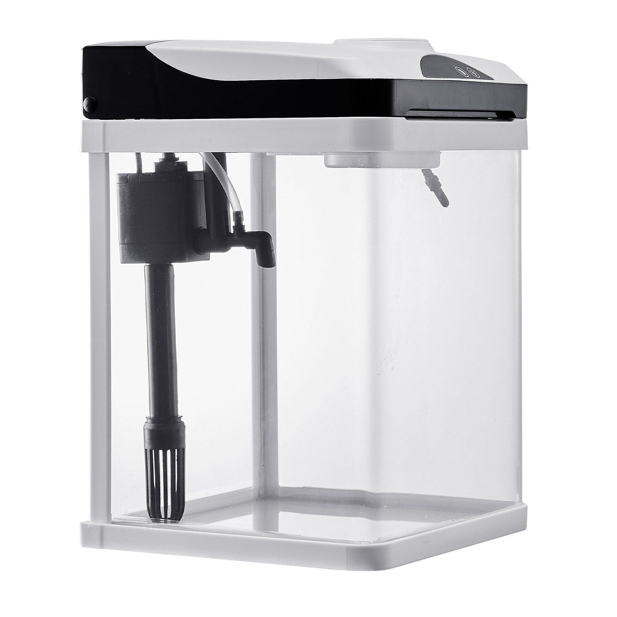 Fish Tank Aquarium