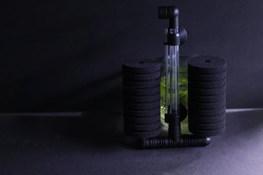 Dual Sponge Filter