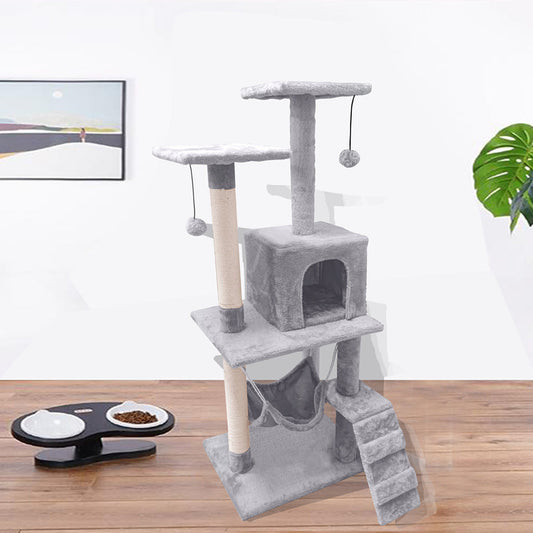 Cat Toys