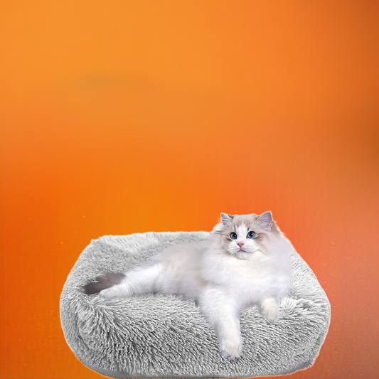 Cat Bed Indoor