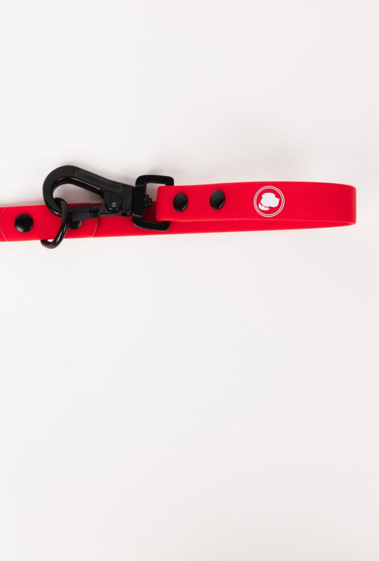Ruby Red Adjustable Leash