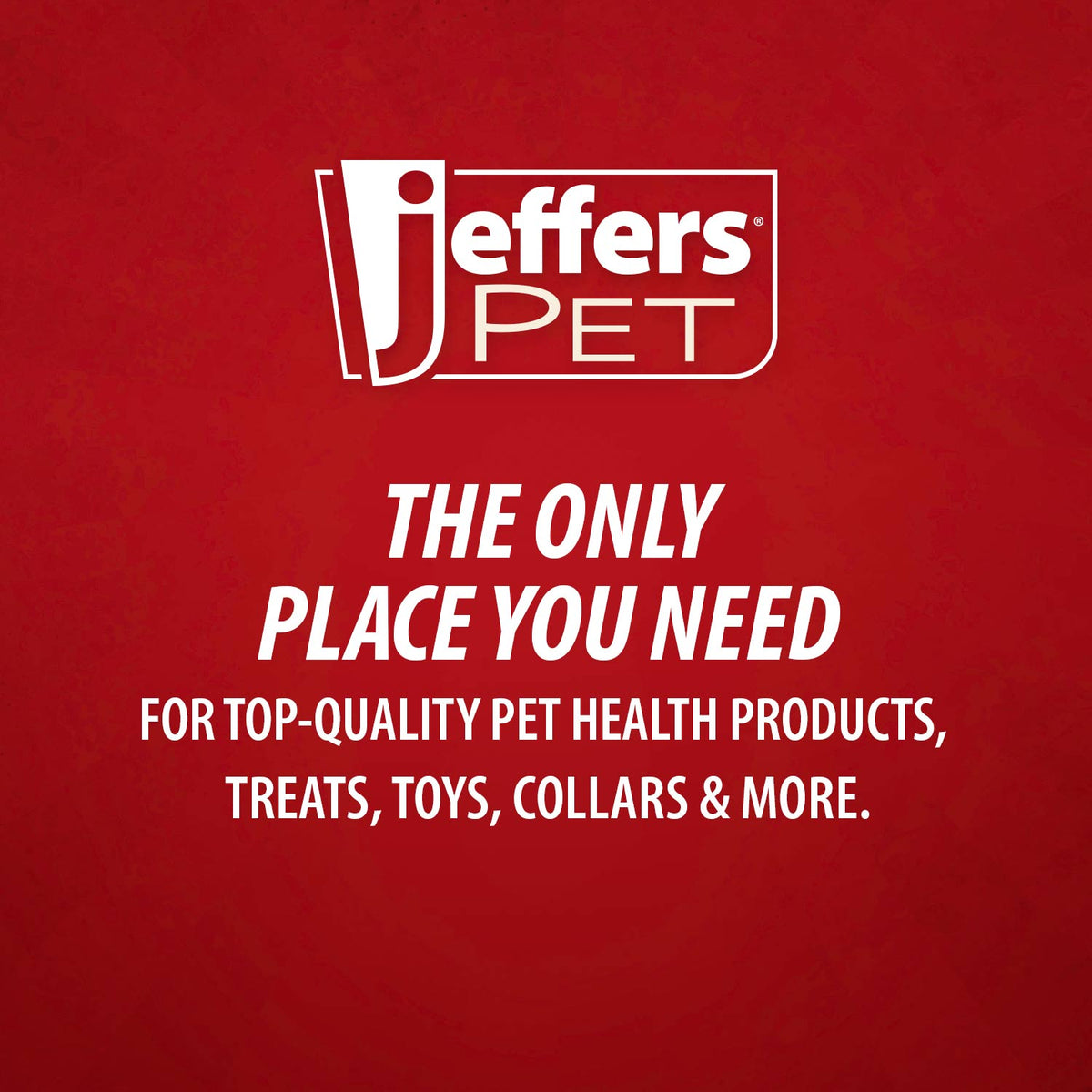 Pet Grooming Brush