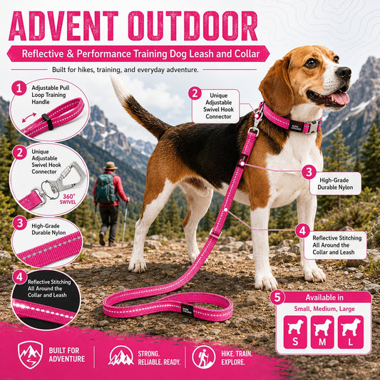 Dog Leash and Collar