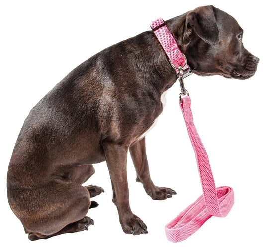 Mesh Dog Leash and Collar