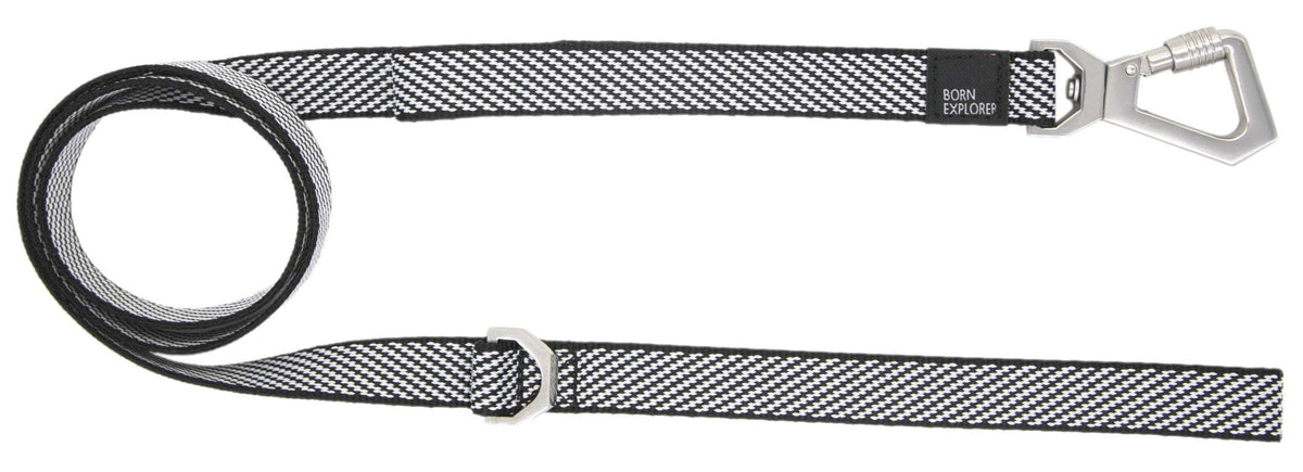 Dog Leash and Collar