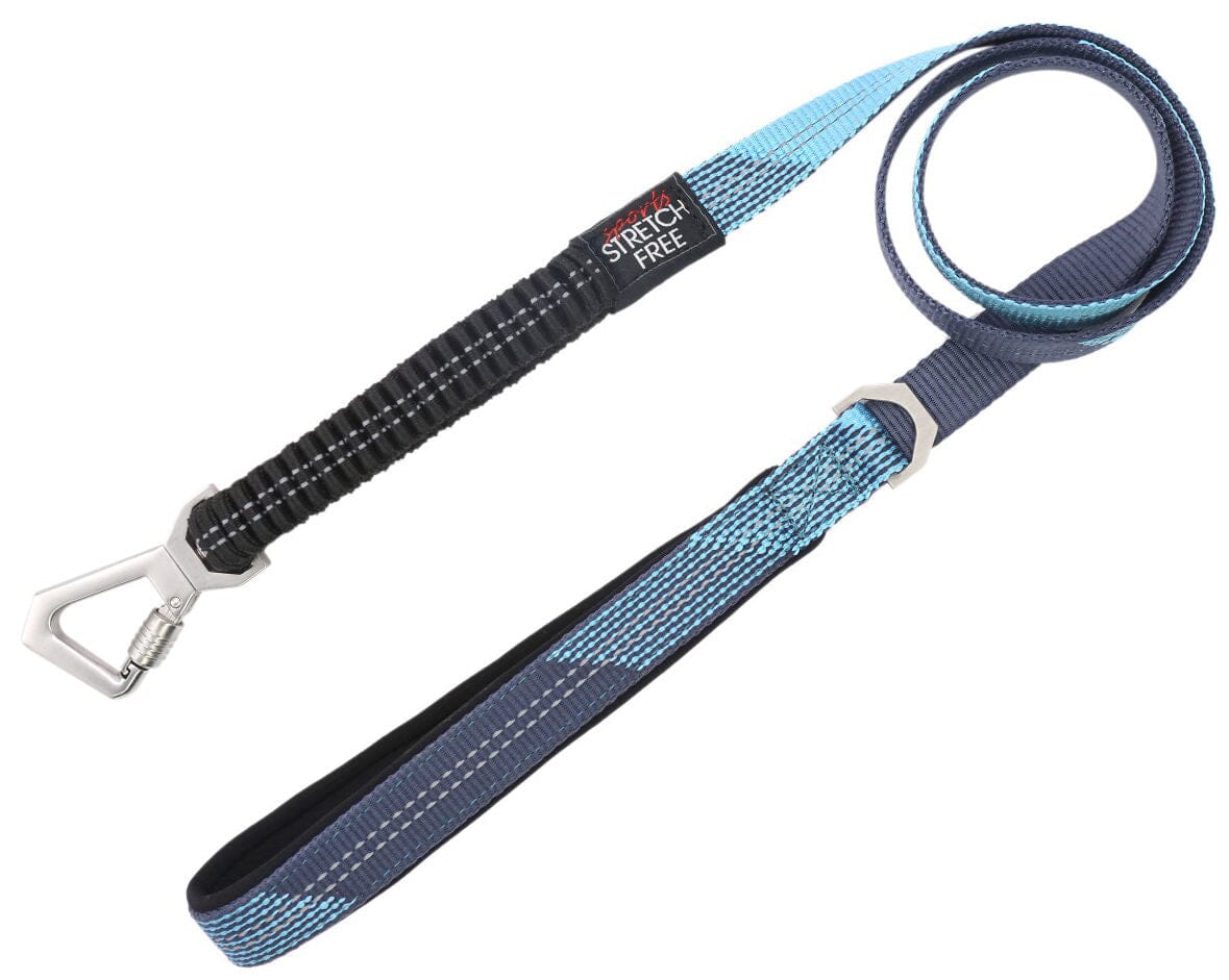 Leash and Collar