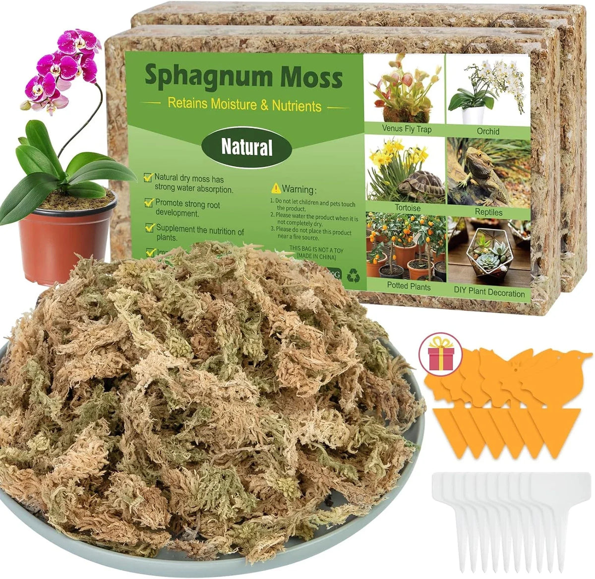 Sphagnum Moss
