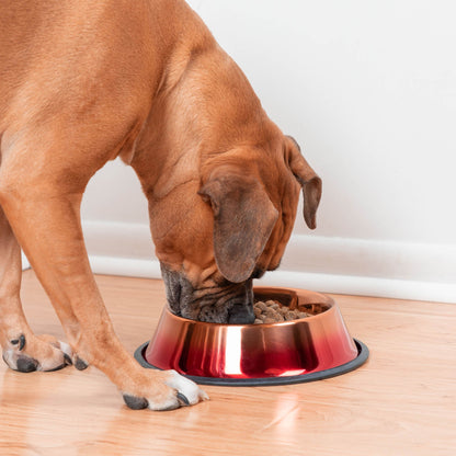 Copper Pet Dish