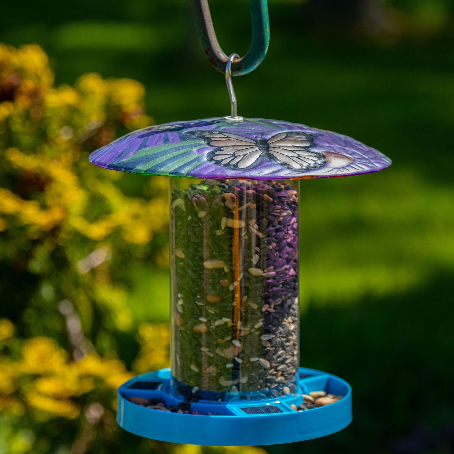 Solar Bird Feeder