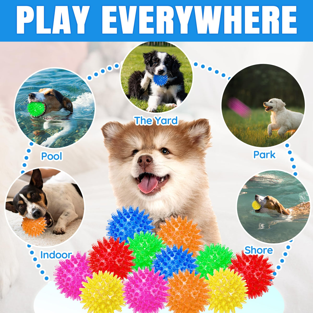 Squeaky Dog Balls