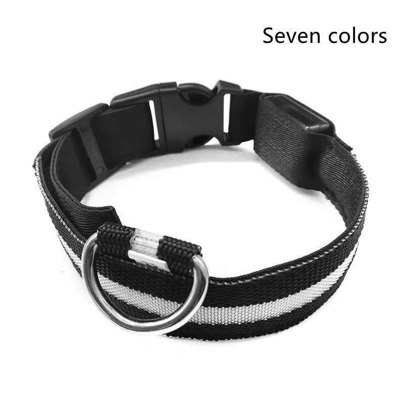 Glow in Dark Dog/Cat Leash