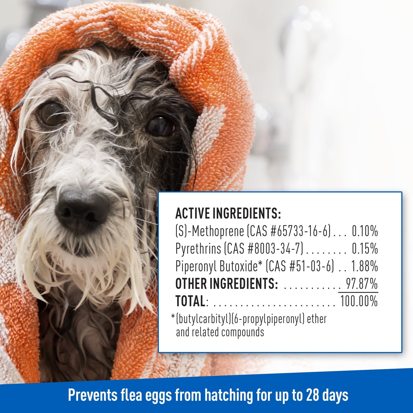 Flea & Tick Foaming Shampoo