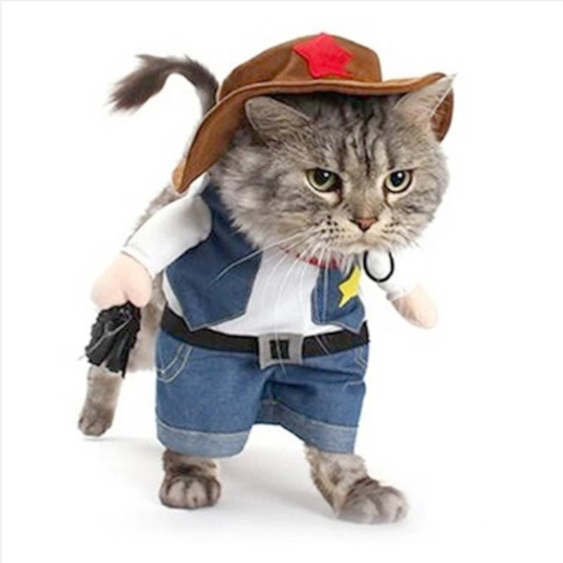Cat Cowboy Funny Outfit