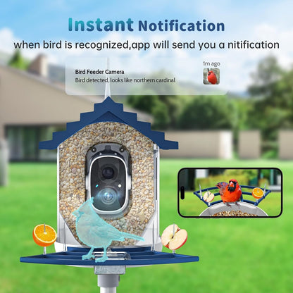 Bird Feeder Camera