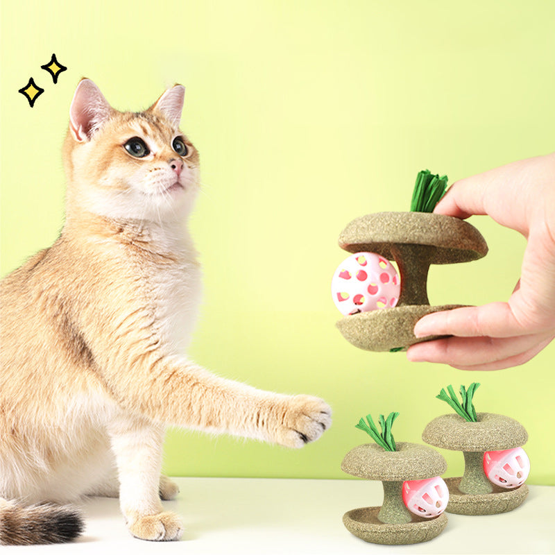 Catnip Toys With Bell